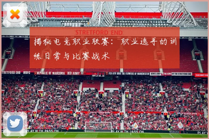 揭秘电竞职业联赛：职业选手的训练日常与比赛战术